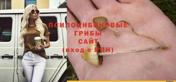 МДПВ Балахна