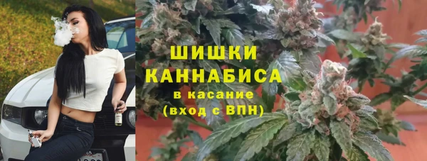apvp Барнаул