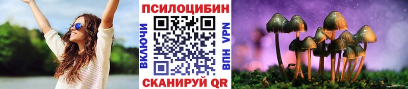 Псилоцибиновые грибы Psilocybine cubensis как найти закладки Белово