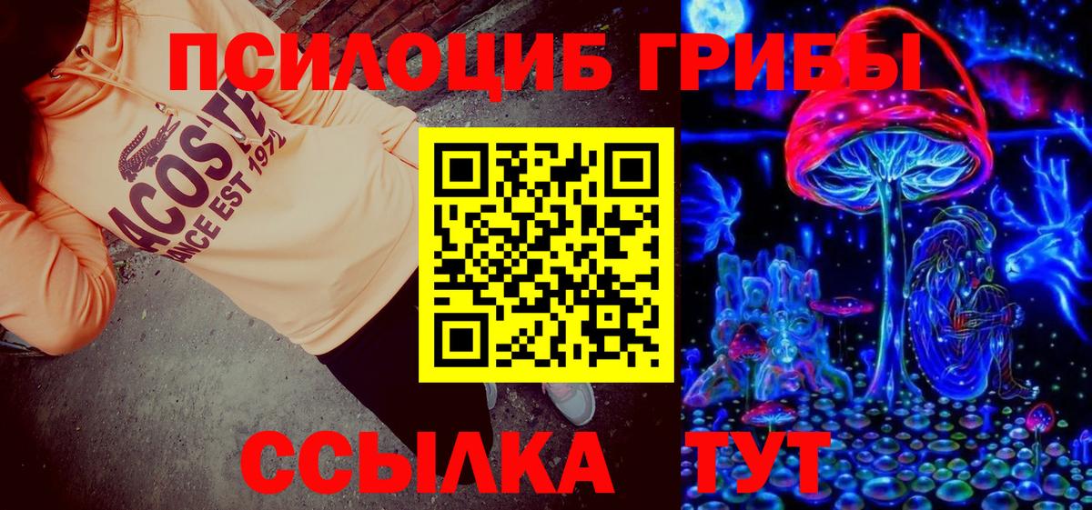 Псилоцибиновые грибы MAGIC MUSHROOMS Белово