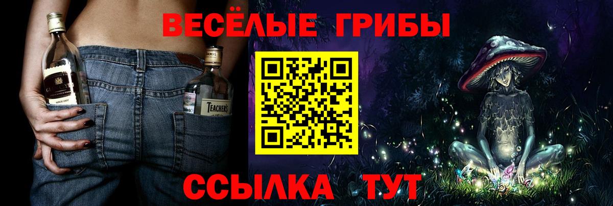 Псилоцибиновые грибы MAGIC MUSHROOMS  Вход с VPN  Белово 